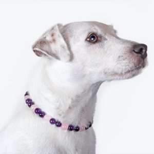 Collar de cuarzo para mascotas