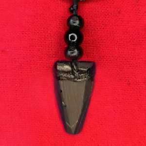 collar de shungita