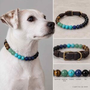 Collar para Perro